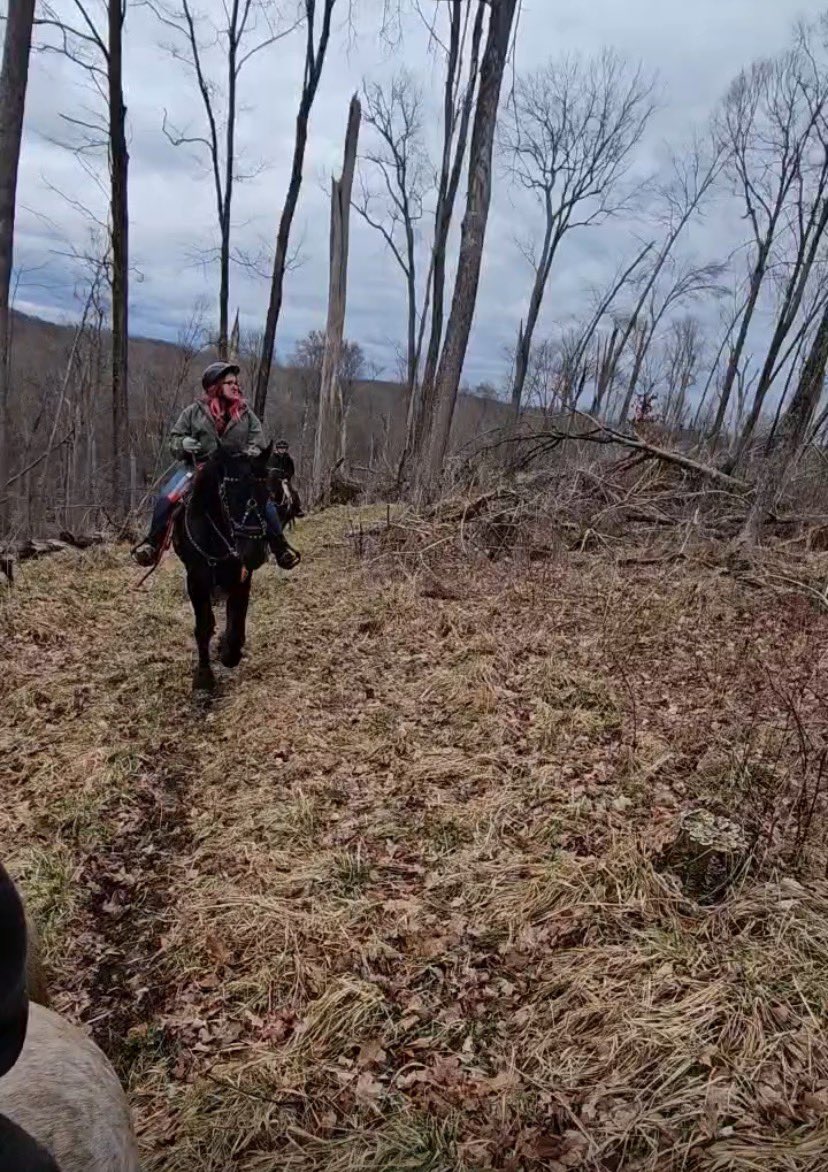 6 hours, 30 degrees, 4 horses, 3 broken ribs and a broken leg later. #firstrideoftheyear #worthit