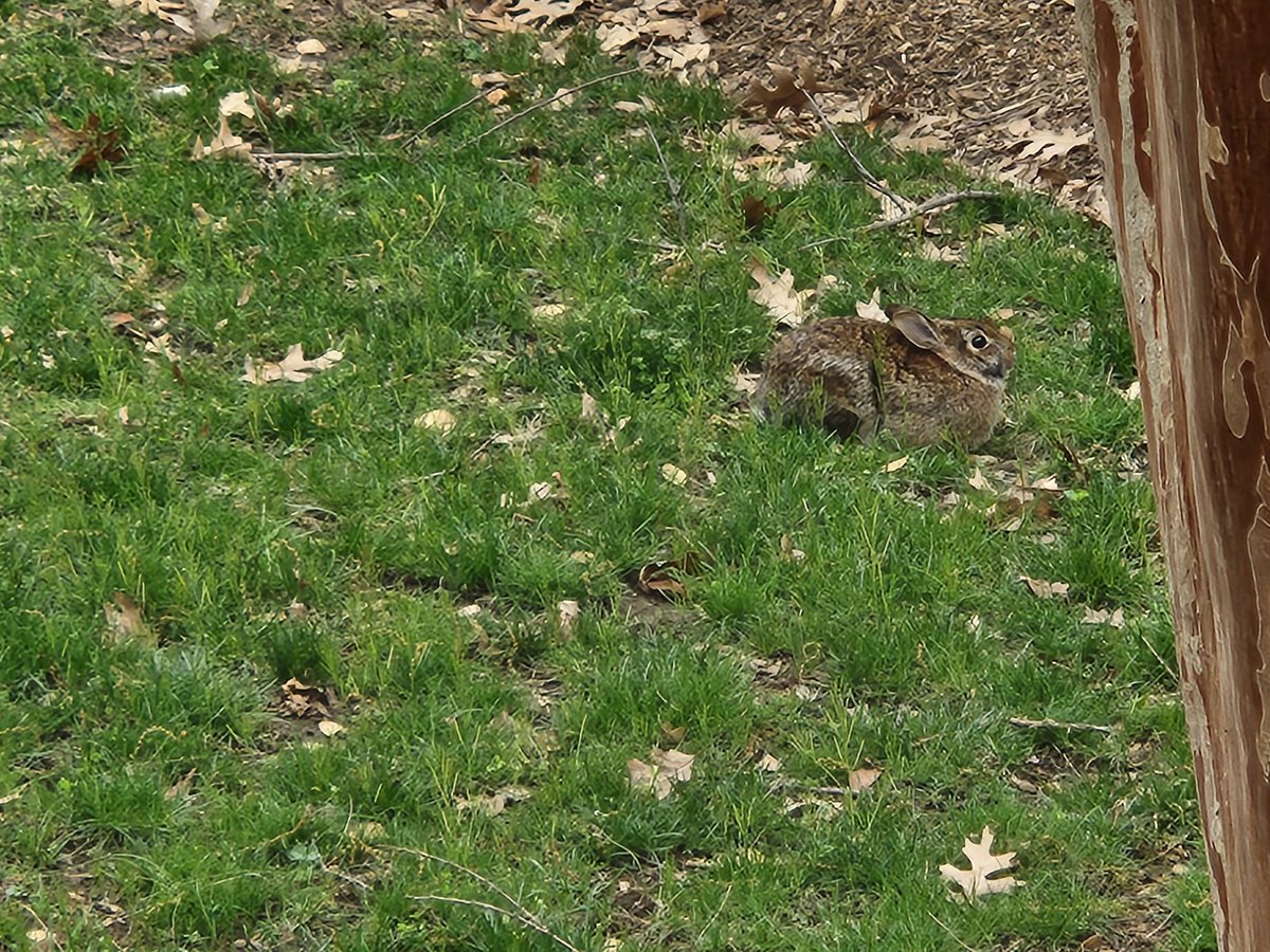 welyn 🎃 tweet media