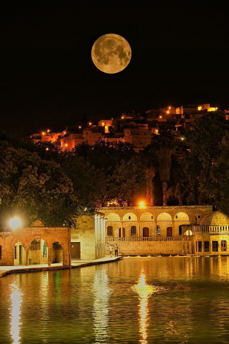 "Büyük bir kahramanlık örneği sergileyerek bu toprakları bizlere emanet eden şehitlerimizi, gazilerimizi ve Urfa Kurtuluş Mücadelesi Önderleri On İkileri rahmetle, şükranla anarken tüm Şanlıurfalının  11 Nisan Kurtuluş Bayramını kutluyorum" 🇹🇷