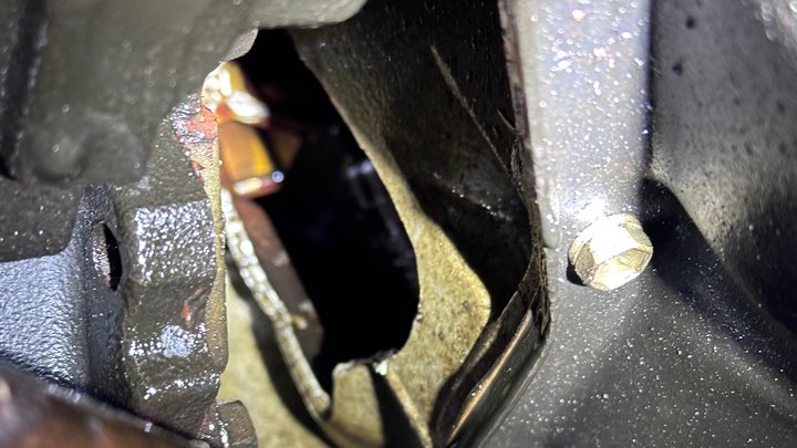 evil wet cat tweet media