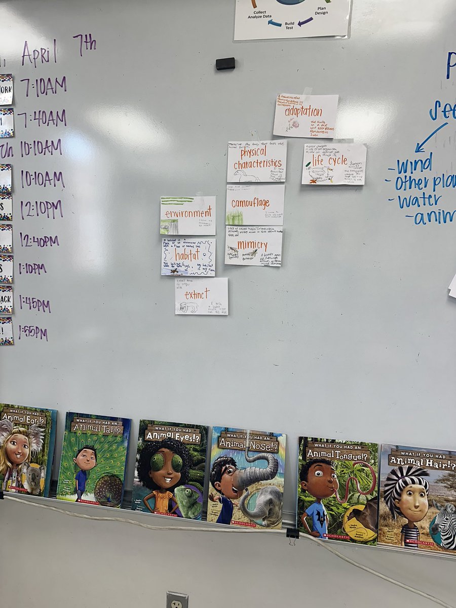 Mrs_AndersonEL's tweet photo. swapped our human body visual with the beginning of animal adaptations (camouflage)! 

@WeAreHAEST @HCPSElemScience @HCPSGorrieEL https://t.co/ziZkroT9Th