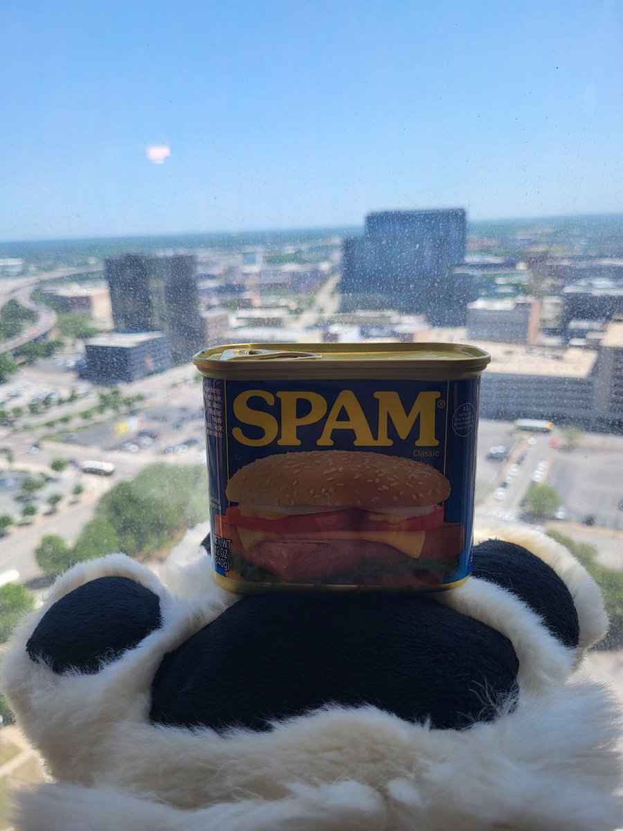 mount_k_69's tweet photo. First time at a furcon, ready to party and see the sights! #TFF2025 #Furry #Fursuit https://t.co/I7GH5pvhyU
