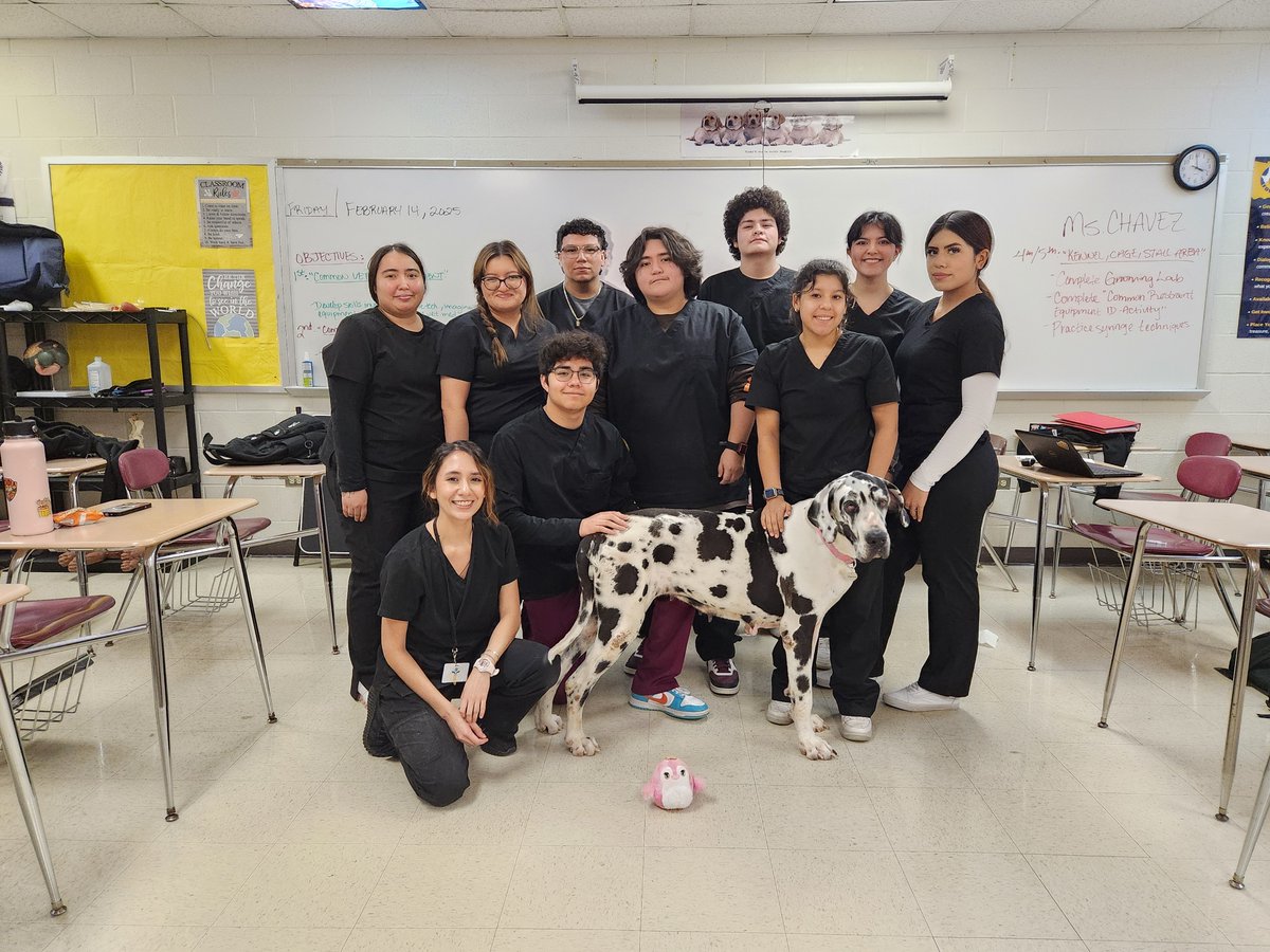 CTELFCISD's tweet image. The Veterinary Medical students at LFHS take the utmost care in obtaining their patient’s vital signs and in performing grooming services needed to maintain their overall health.