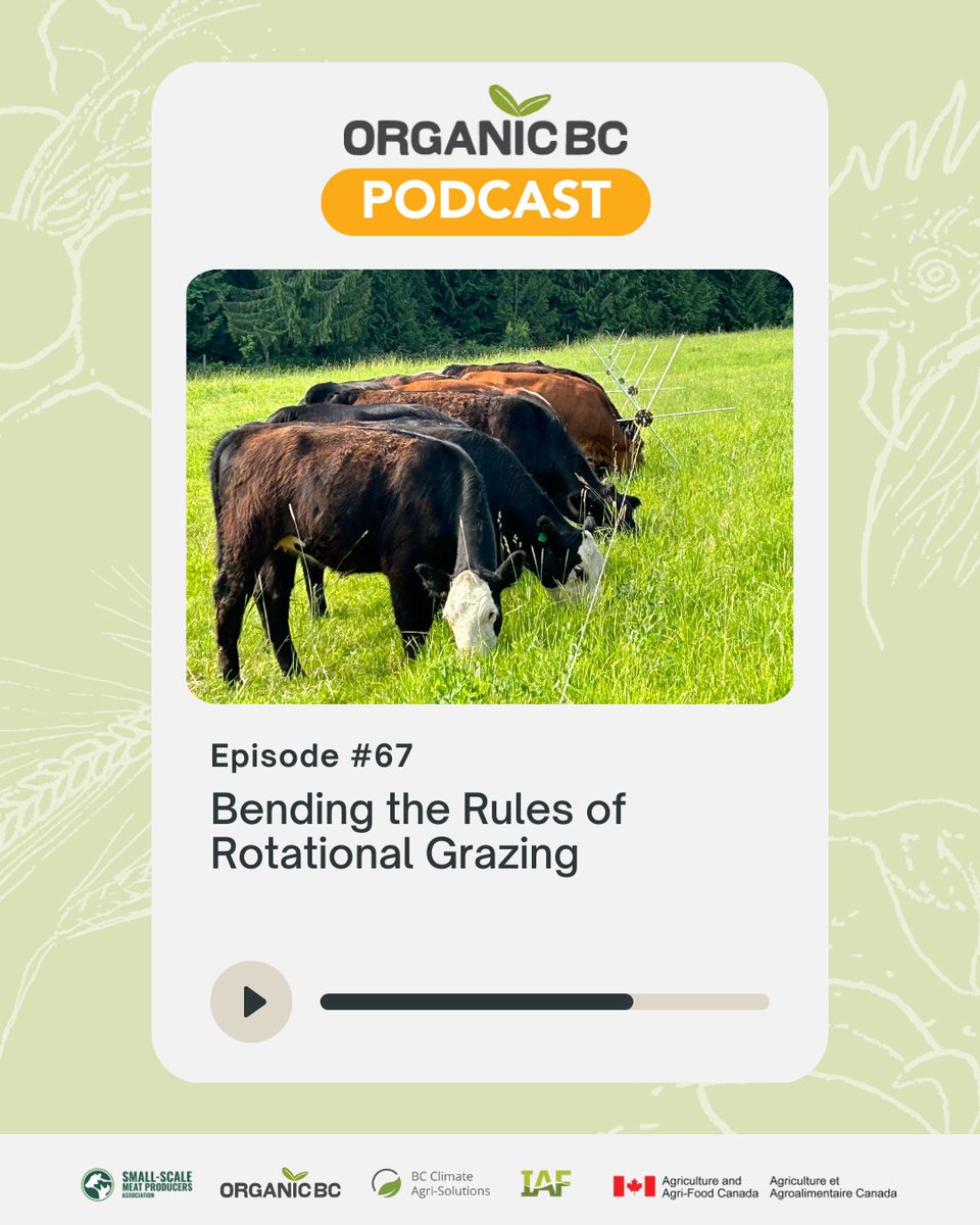 thisisorganicbc's tweet photo. Just landed: the next chapter of the Organic BC Podcast miniseries on rotational grazing, produced by the Small-Scale Meat Producers Association!

Stream now: https://t.co/w27GyW2biE

#BCAg #IAFDelivers #AgClimateSolutions @AAFC_Canada @IAFBC https://t.co/2NfPrv9waG