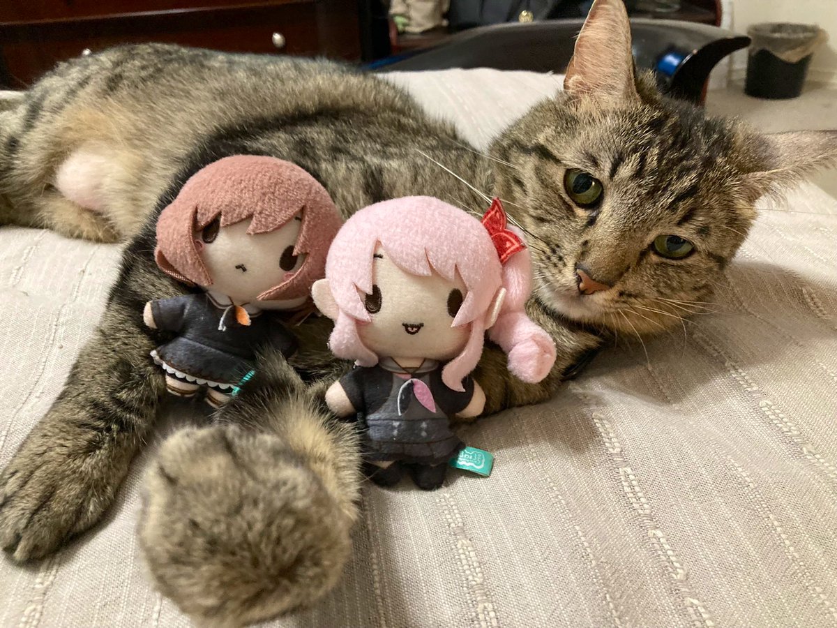 nuiexplosion's tweet photo. might as well💥these nuis had brought so much joy in me, i need to post pictures of them again <3
#HMCSMerch #SEGAContest https://t.co/Gz8n7PfuEI