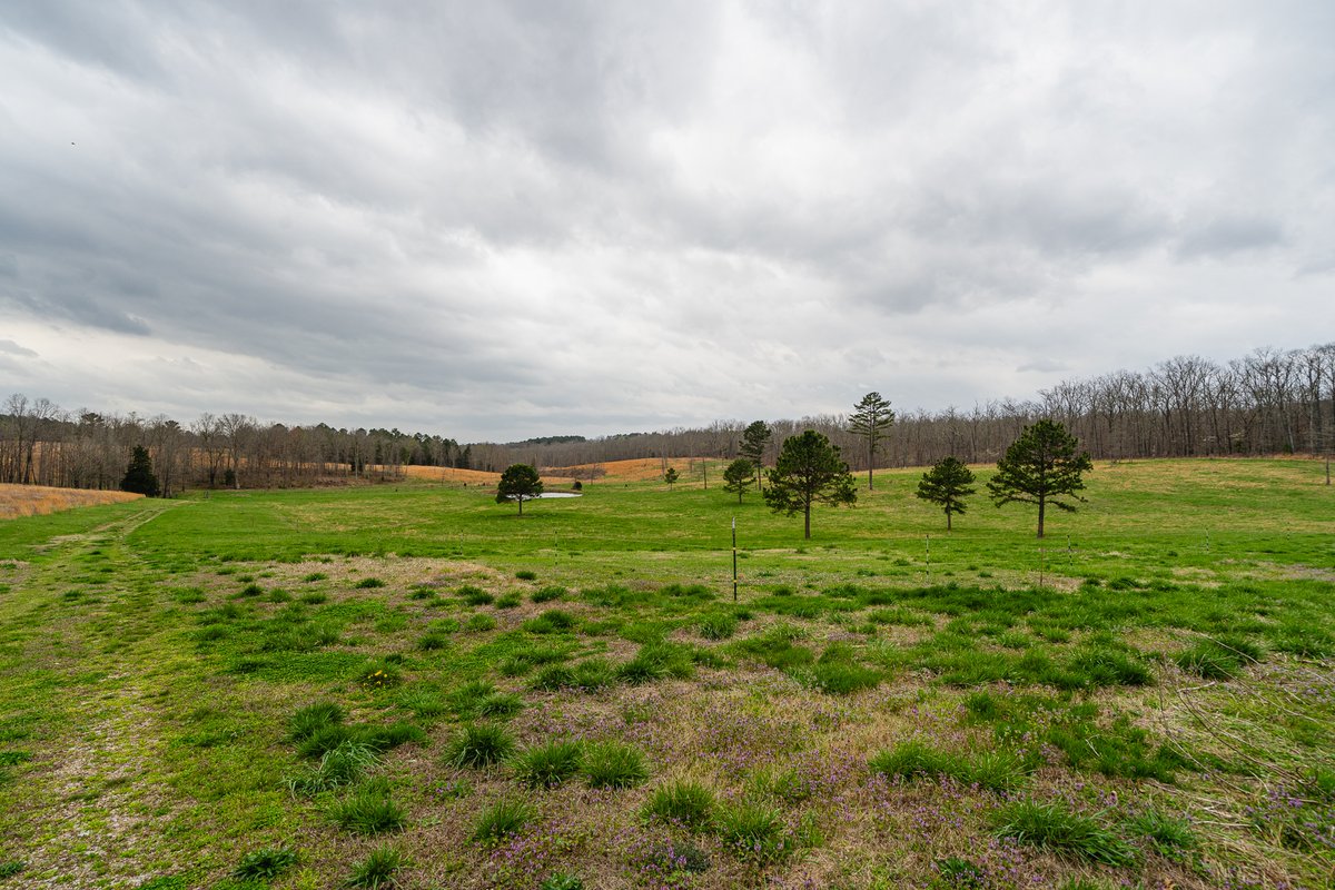 denverwade's tweet photo. The perfect blend of seclusion and accessibility. With 80 acres +/- of natural beauty with National Forest surrounding, this cabin offers a serene escape from the hustle and bustle. 

Info: https://t.co/R2p6sb3AKB 

#OffGrid #EscapeTheCity  #SouthernMissouri https://t.co/0nWx5oJbZy