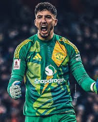 Neil Bernstein tweet media