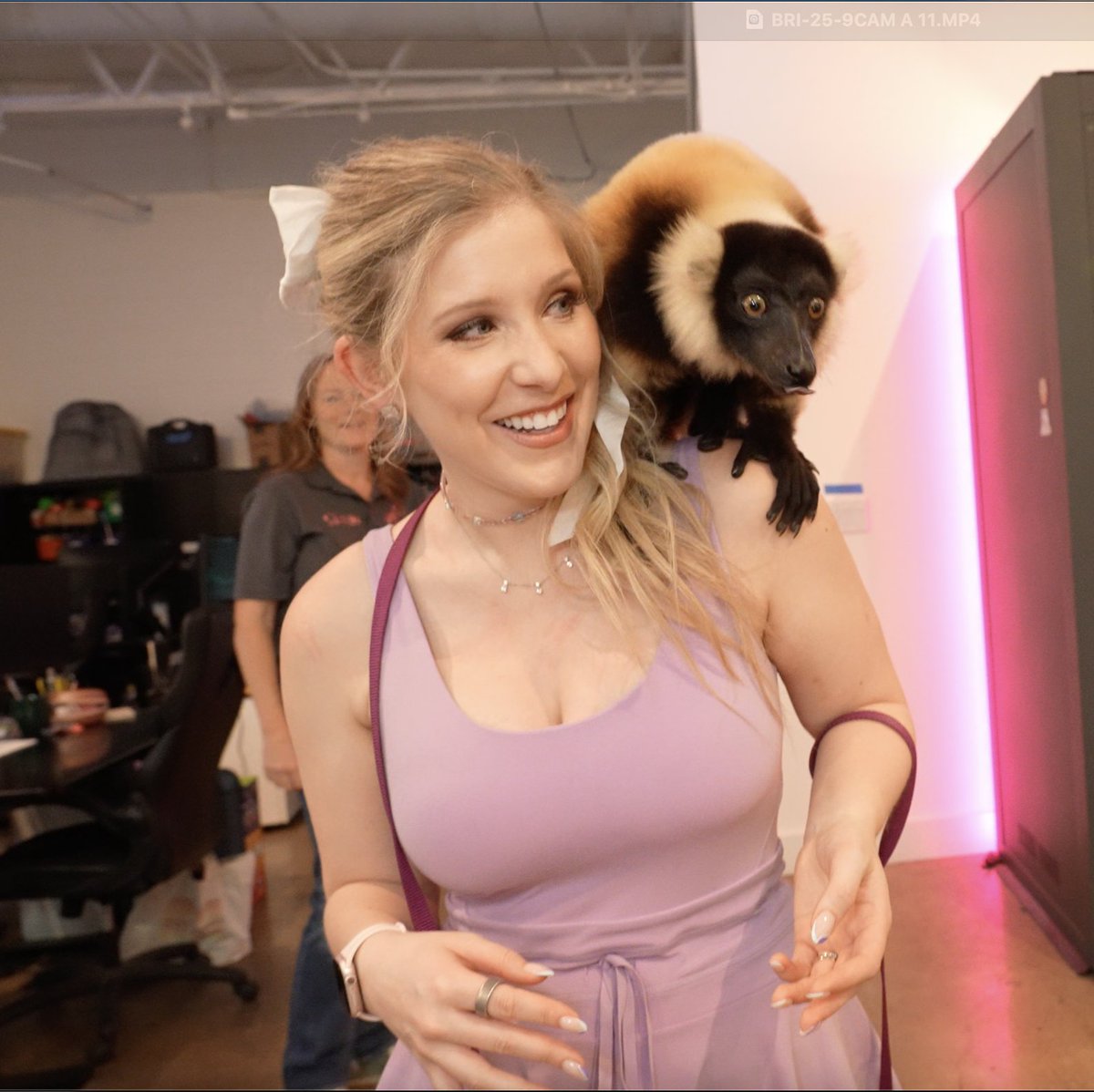 Studio turned safari!