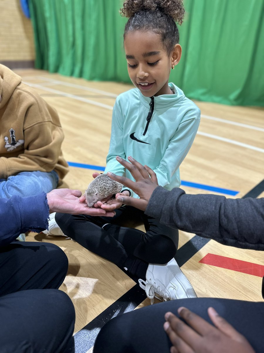 Not Just Sport tweet media