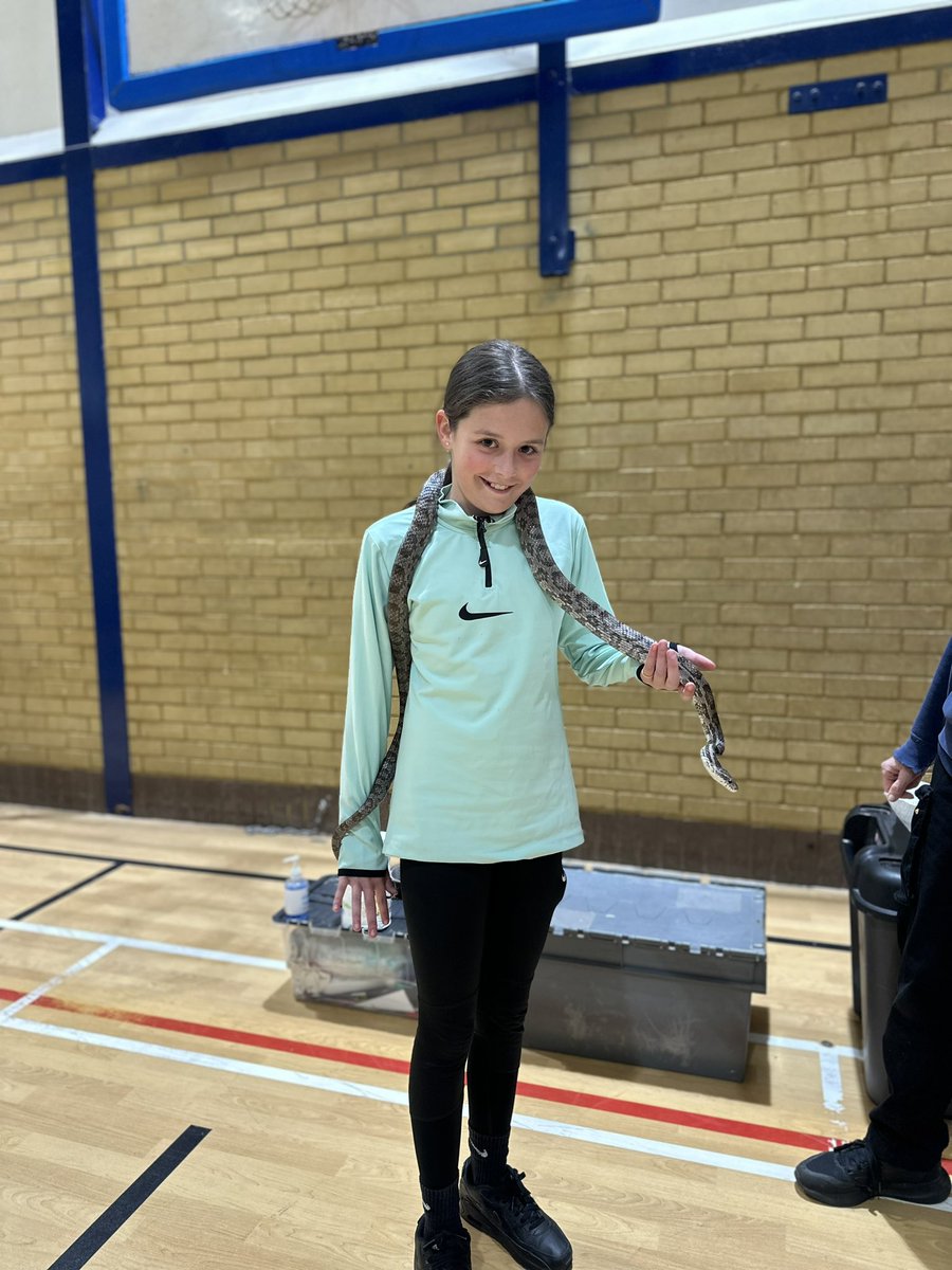 Not Just Sport tweet media