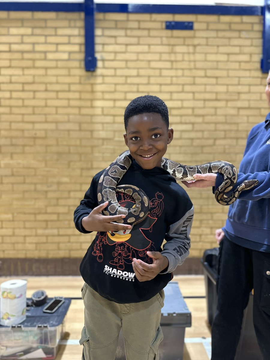 Not Just Sport tweet media