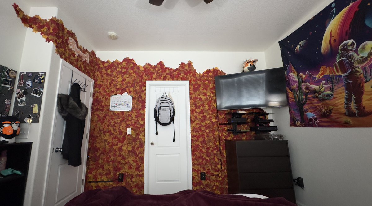 Alazell 🔜 @FWA tweet media