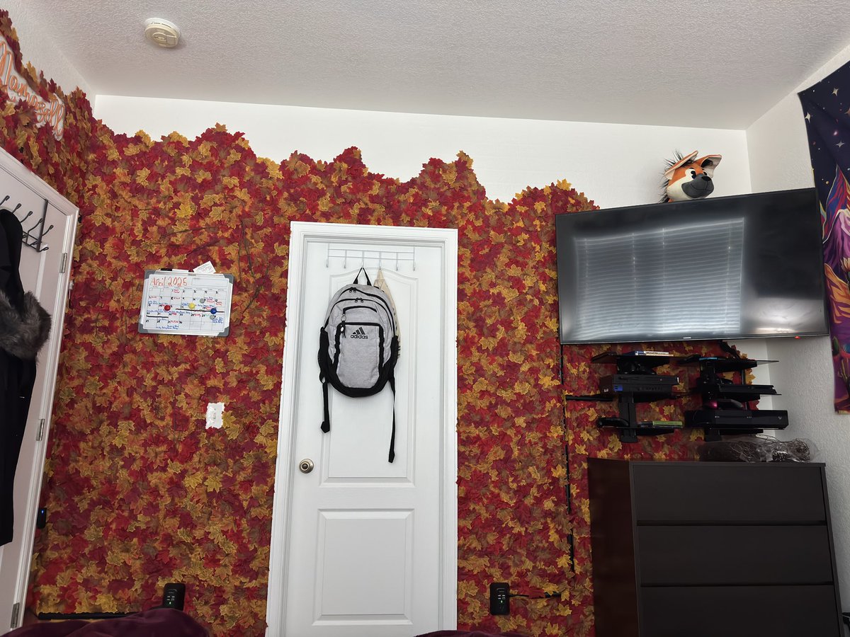 Alazell 🔜 @FWA tweet media