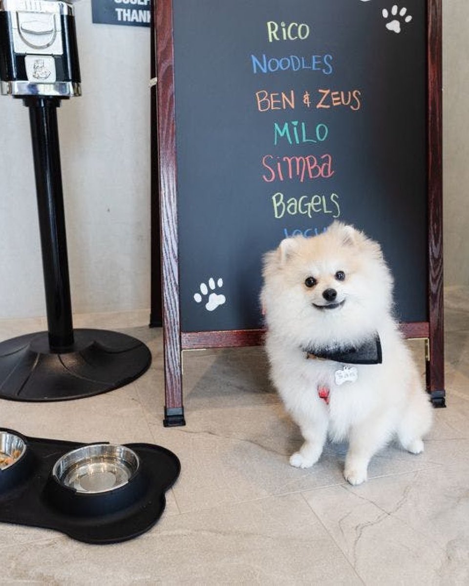 300MainWinnipeg's tweet photo. Look at all these adorable pets who live at 300 Main!
We’re proud to be a pet-friendly and pet-welcoming community where your furry friends feel at home. Happy National Pet Day!

#300Main #Livingat300Main #DowntownWinnipeg #FindItDowntown https://t.co/06CkBk5wbu