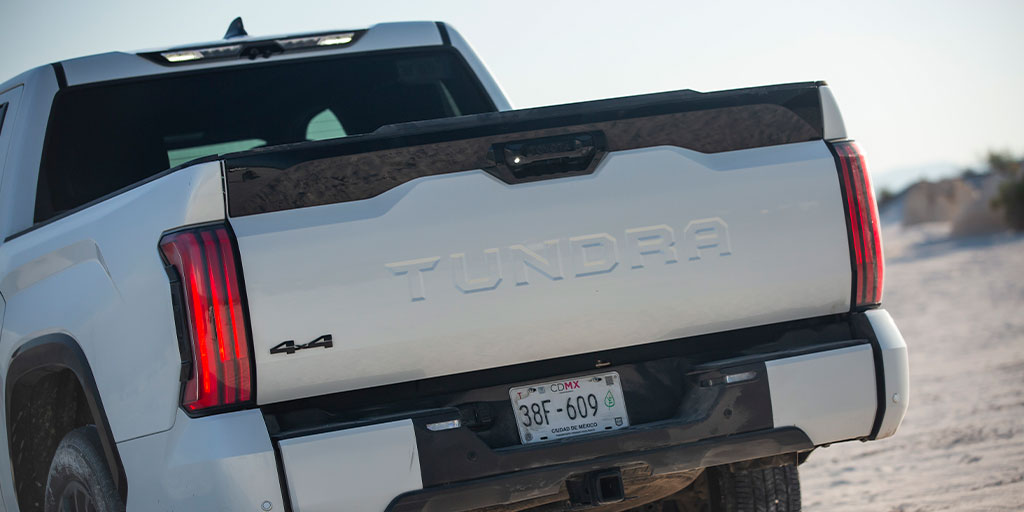 Magazzine del Transporte tweet media