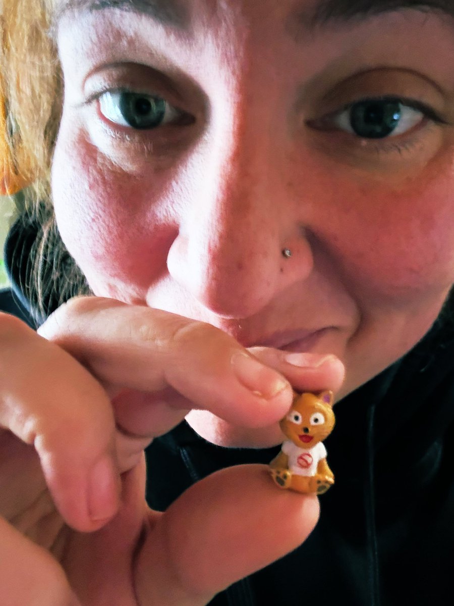 Xsmom15's tweet photo. Who’s hunting #cynical 

@TheStarsPodcast Mason was all smiles when he opened his #veefriendsmini https://t.co/n4hSKFlOeu