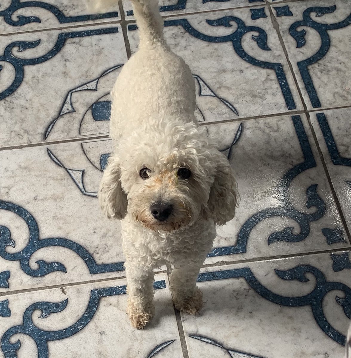 polentina que no tenia nada que ver tweet media