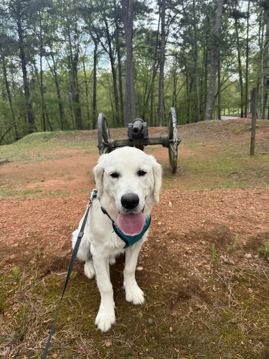 Milo learning about Georgia history on our hike today. Loving Spring Break! #georgiastudies