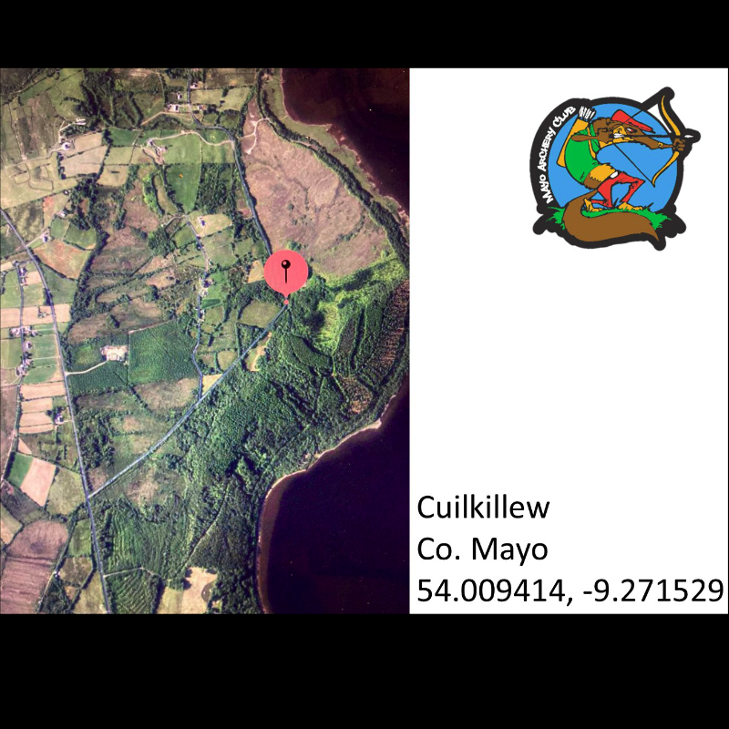 IFAF Ireland tweet media