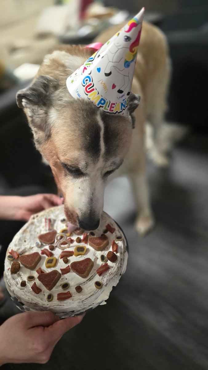 Ikzer's tweet photo. Adivinen quién cumple años hoy https://t.co/tuOYeYJsf3