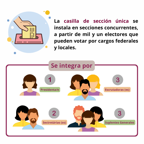 DespachoRq's tweet photo. ¿Tenías conocimiento de la casilla de sección única? https://t.co/NigNJRyt9m