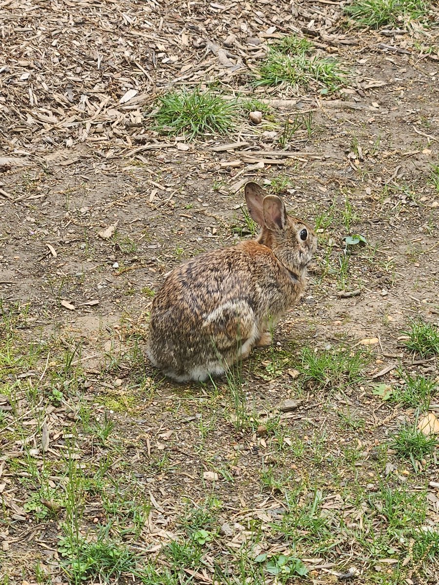 welyn 🎃 tweet media