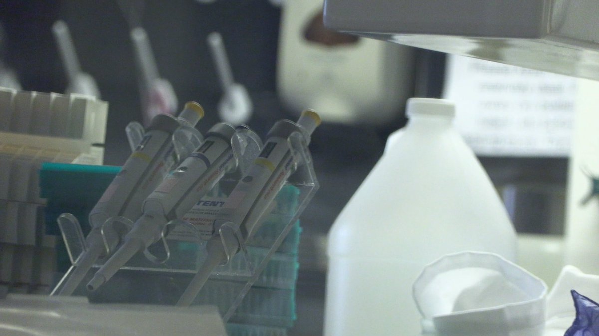 Trump’s federal funding cuts are affecting medical research in Central New York Schools.

I spoke with an SU senior about how his future career plans might face new challenges.

Next on NCC at 4:30 #NCCNews