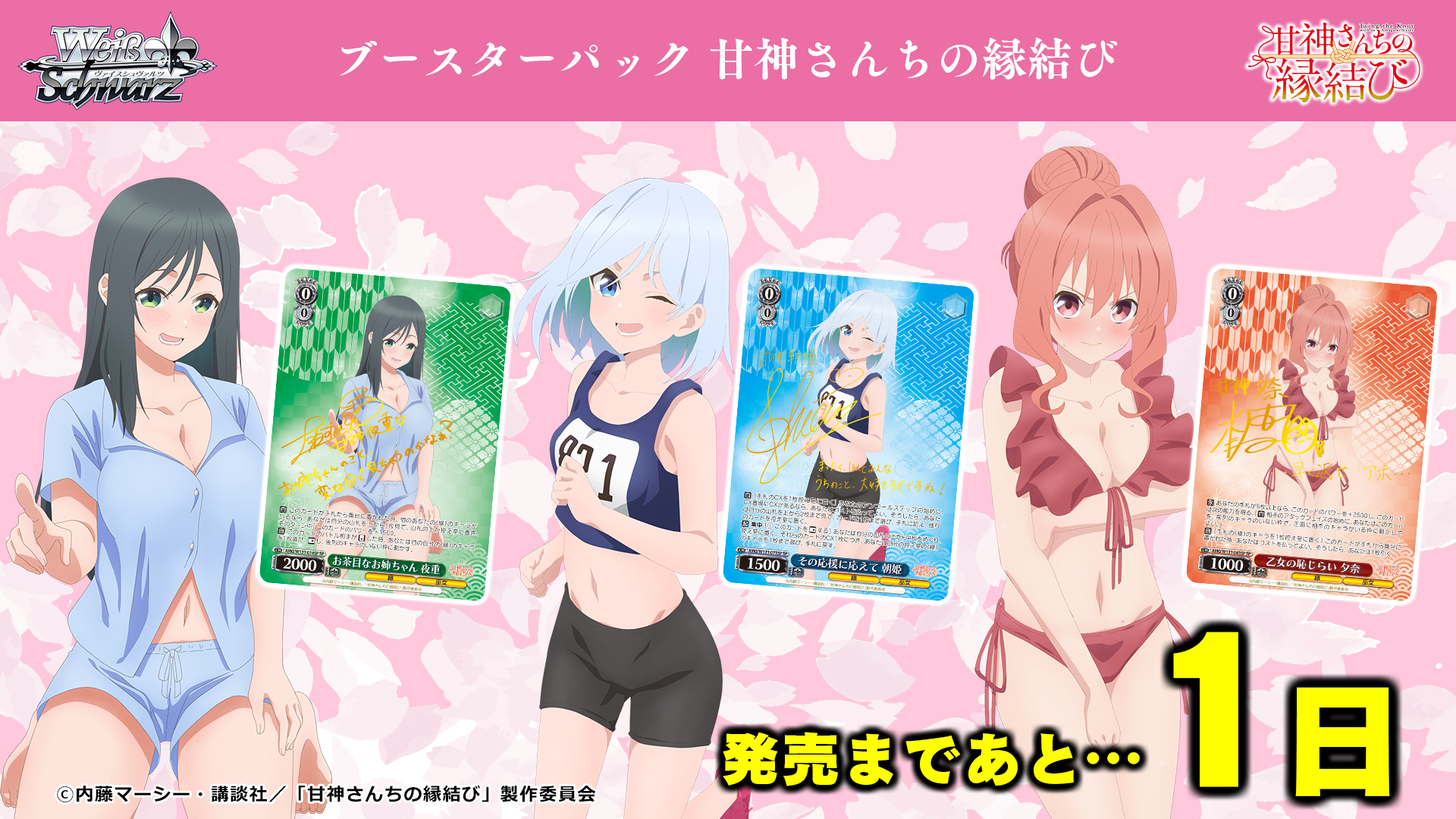 ヴァイスシュヴァルツ公式 on X: 