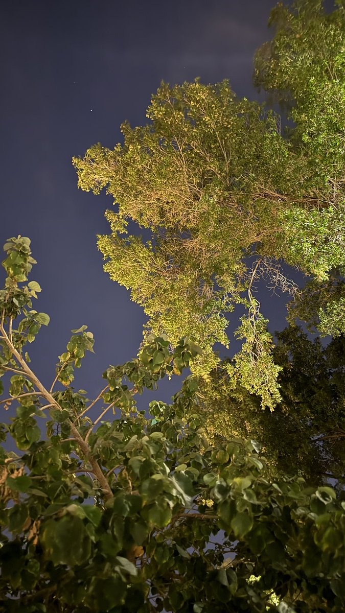 لم يكن حبًا كان شعورًا بالألفة فقط