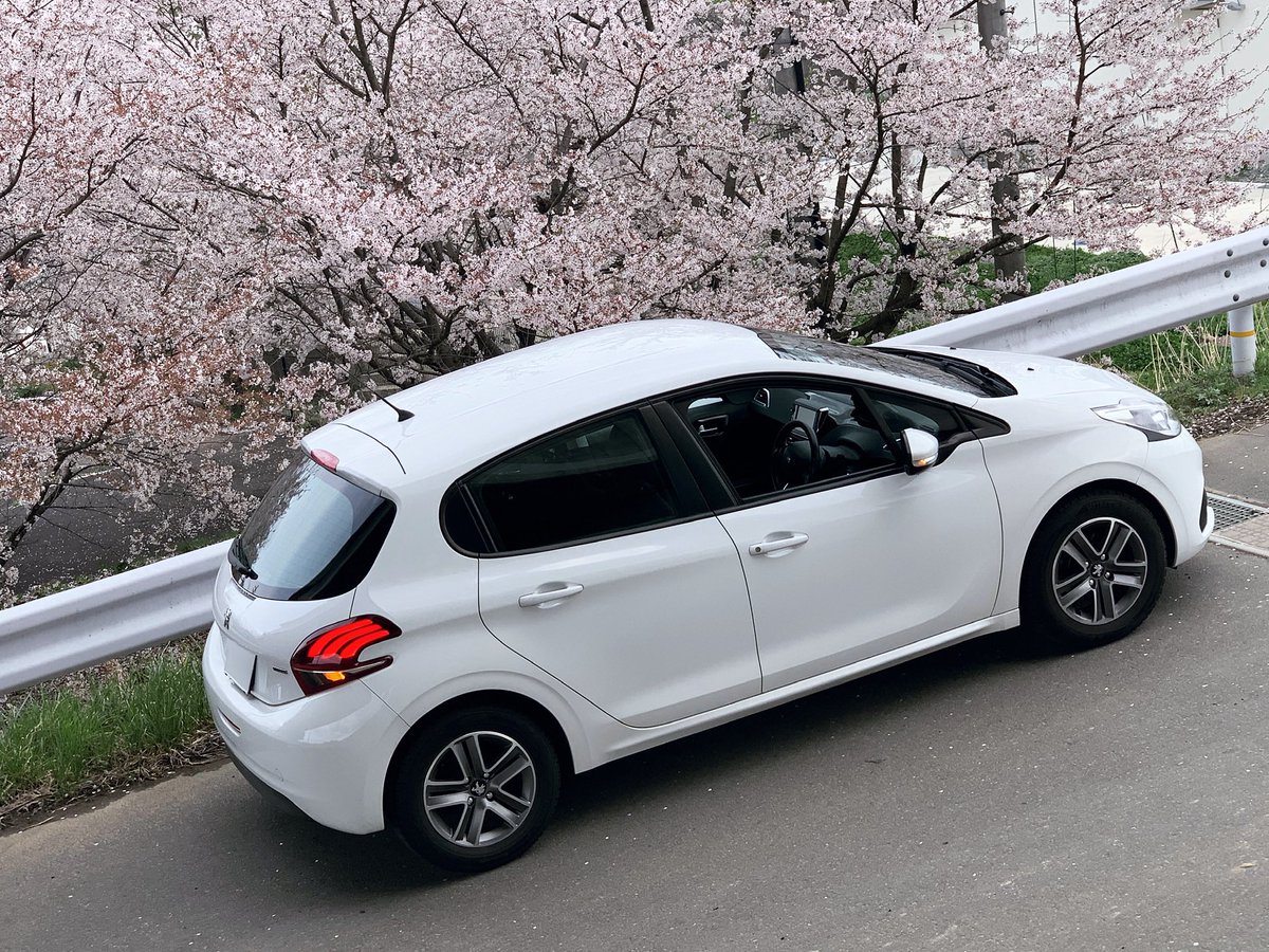 fjolublatanemon's tweet photo. 🌸 #peugeot  #208style 

過去の。
たまにまだ所有している気になります。
ちなみにまだ桜は咲いてません(-｡-;🍡 https://t.co/RVkilqbuDU