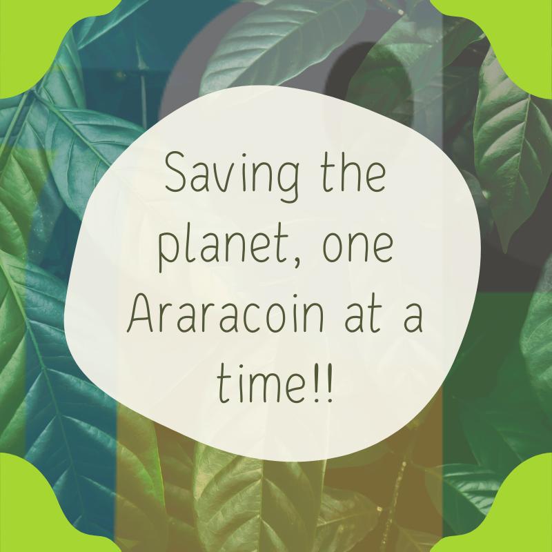 🌍 Let’s protect nature together!

With AraraCoin, every transaction supports environmental protection and species preservation projects.

Follow our profile and be part of the movement for a better planet!