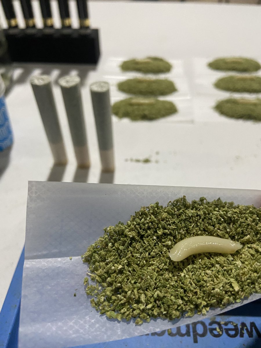 CocoCustoms_'s tweet image. Moonbow #3 x Zazul 
@Superlative_MI