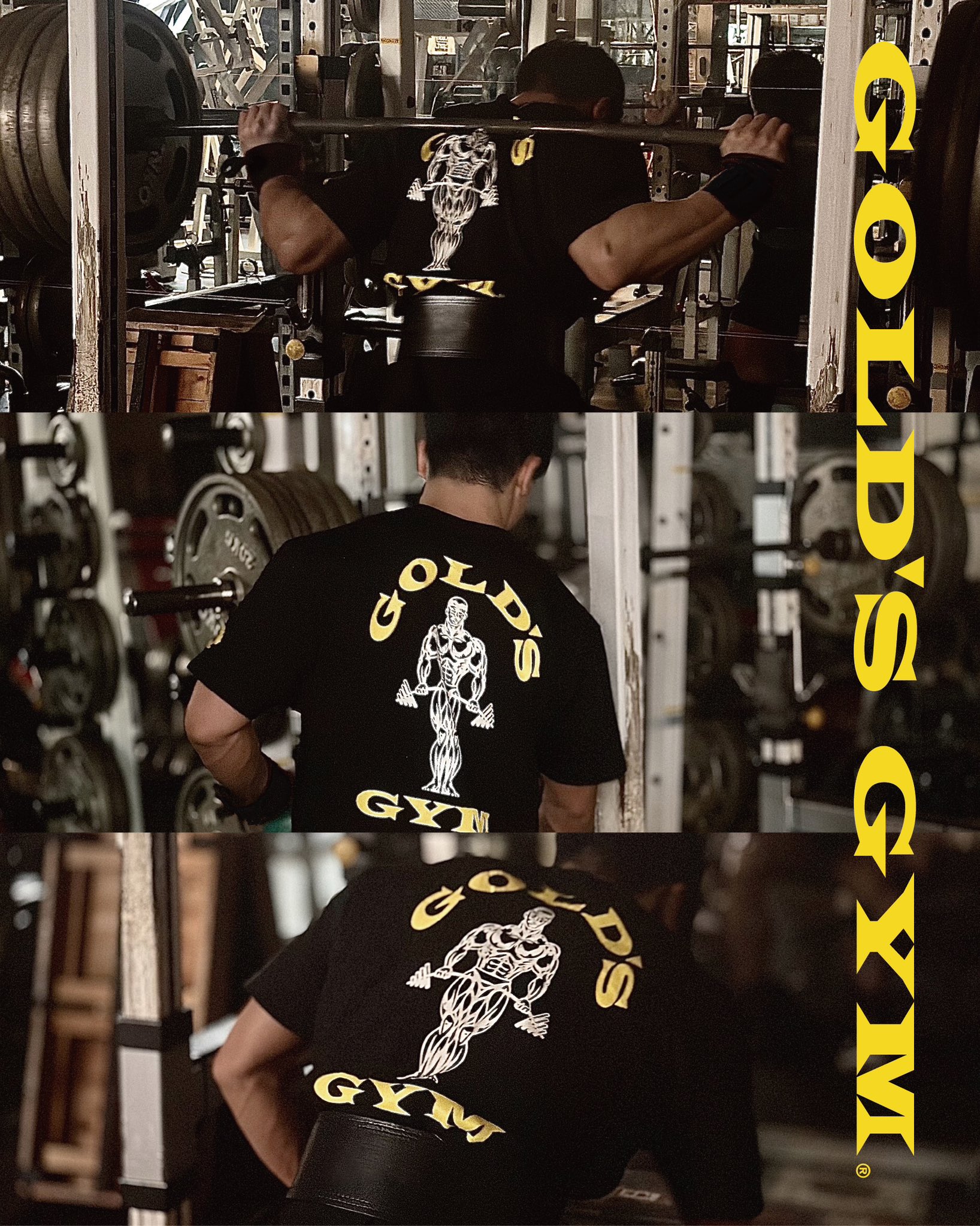 GOLD'S GYMania(ゴールドジムマニア) (@goldsgymania) / X GOLD'S GYMania(ゴールドジムマニア) (@goldsgymania) / X