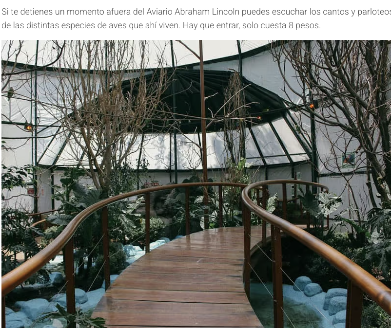 localmx_'s tweet photo. #ParquesCDMX El aviario Abraham Lincoln en Polanco, está lleno de distintas aves rescatadas del maltrato doméstico y del tráfico de especies exóticas. Lee la nota completa aquí: https://t.co/wDAAONdTw5 https://t.co/UVUd3tyrA1