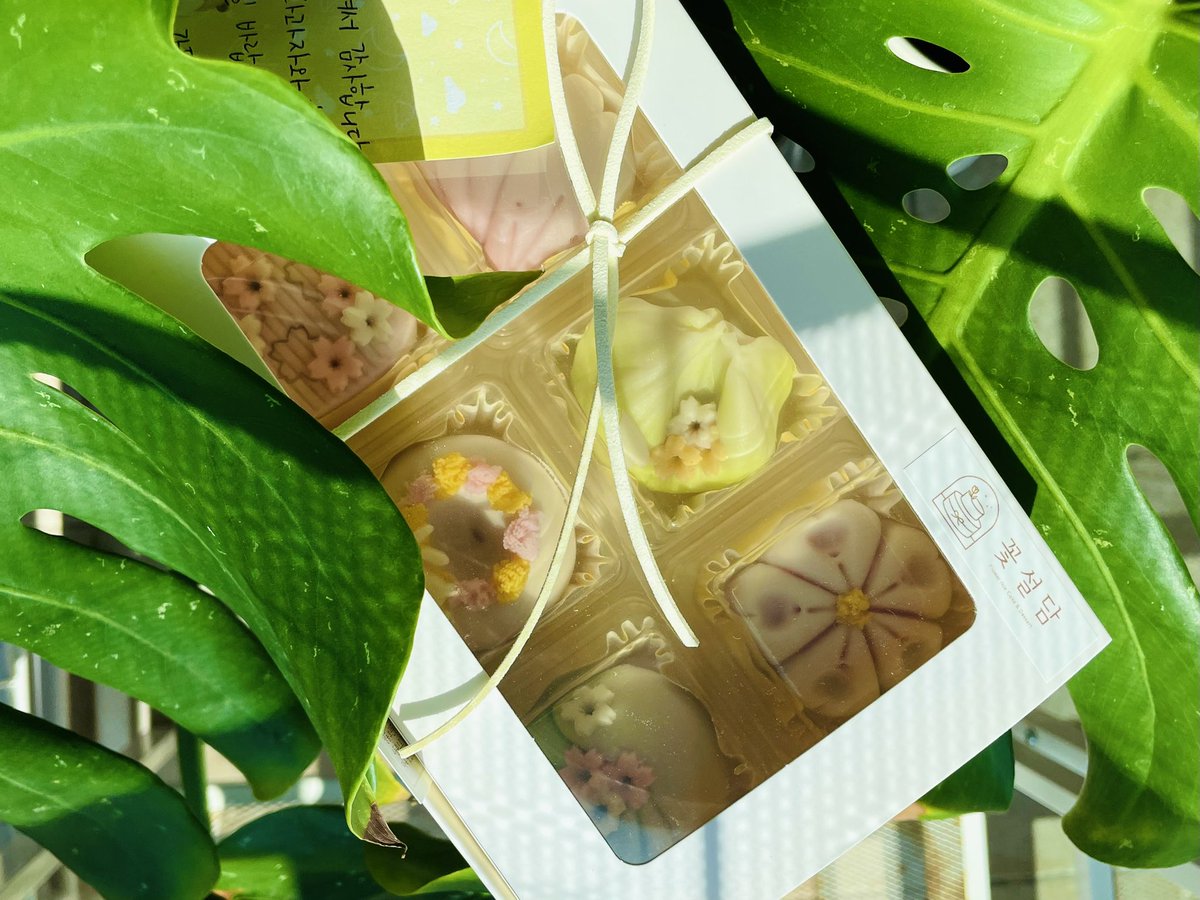 아름다운 화과자가 도착을 했습니다
눈으로 한 번 먹었어요 😍
곧 예쁘게 차려 입으로도 먹어볼게요😘
<a href="/flower_suldam/">🌸꽃설담🌸</a>