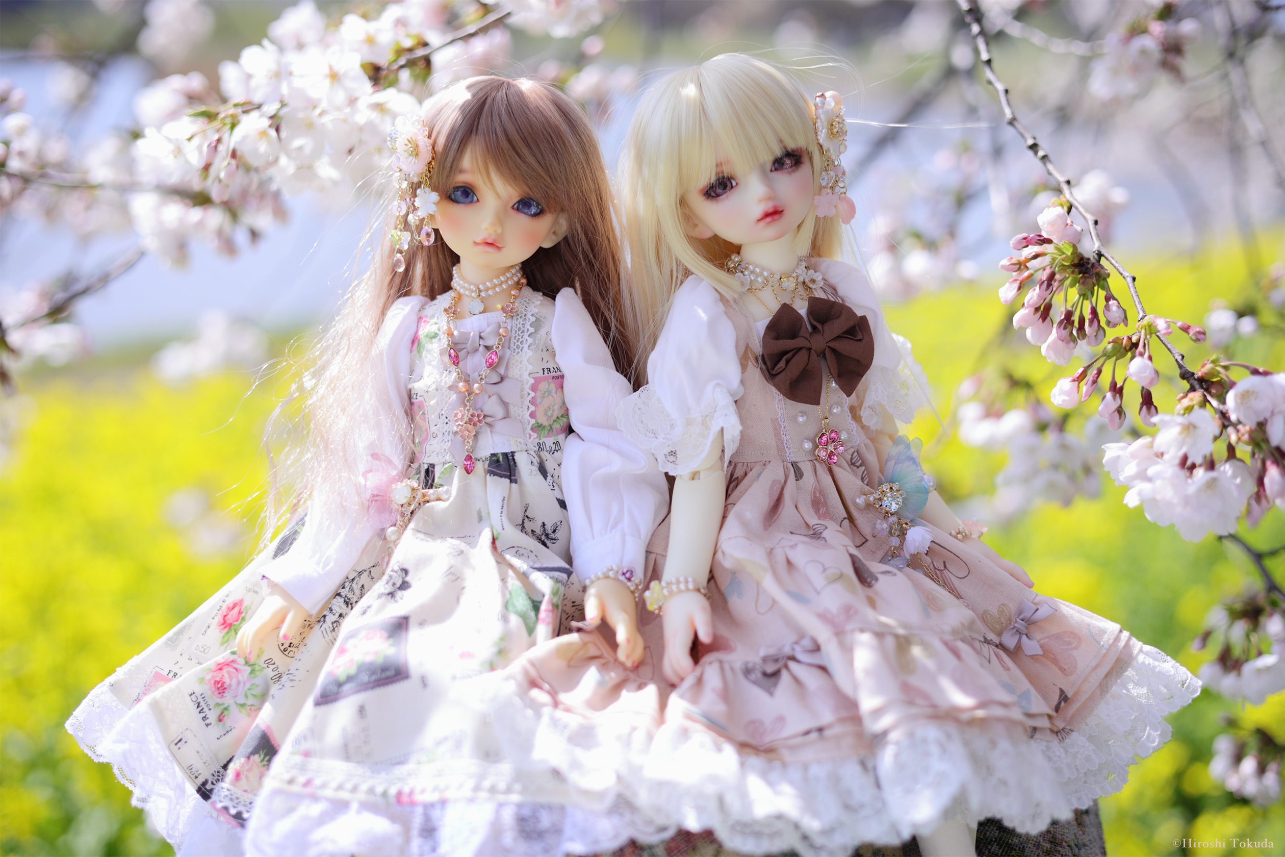 MIYABI GLASS STUDIO (@miyabiglass) / X MIYABI GLASS STUDIO (@miyabiglass) / X