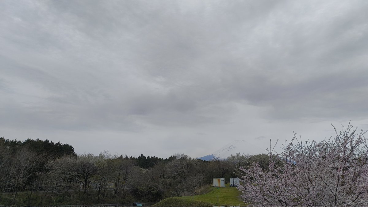 おはようございます☁️
曇っていますが、桜の写真をお届けします🌸
今日もよろしくお願いします‼️
#企業公式春のフォロー祭り 
#企業公式が朝の挨拶を言い合う
#富士山