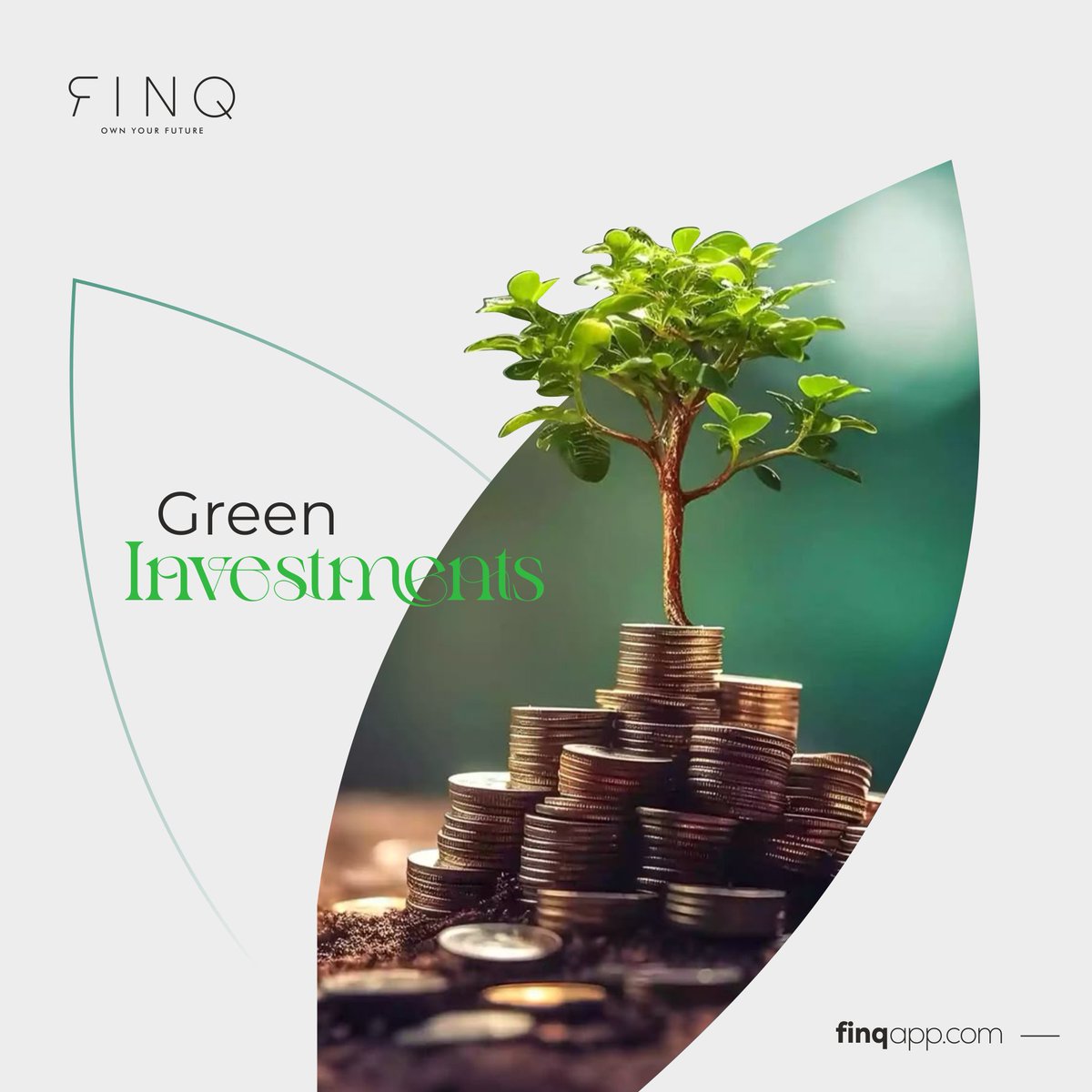 FinqTech's tweet image. Invest green. Grow clean. 🌱
 FINQ makes sustainable investing simple. #GreenInvestments #FINQ