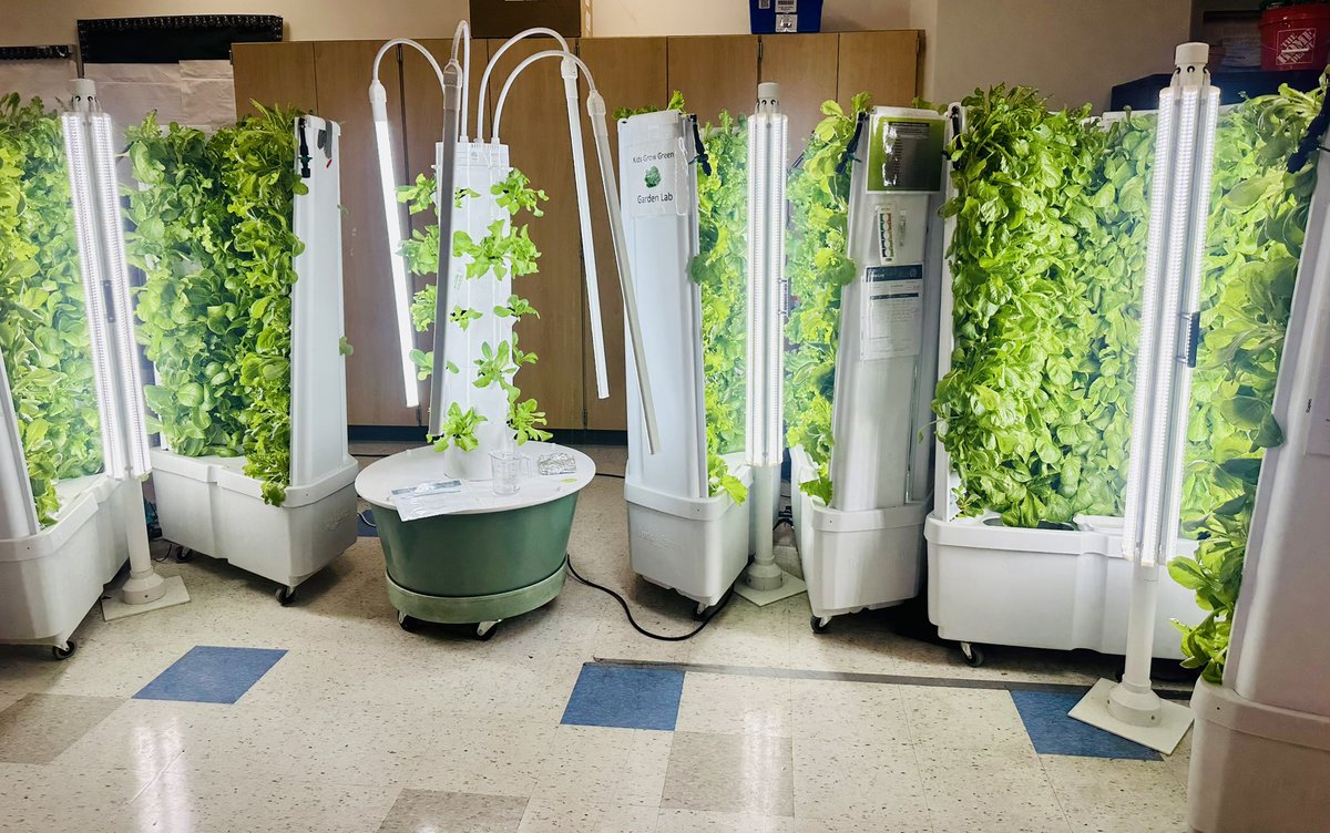 Mrs. Eller Teacher_City 💕💻👟🚀🏃🏽♀️ (@teacher_city) on Twitter photo Our #KidsGrowGreen Garden Lab is growing right inside in our classroom w/the addition of 2 brand new #FlexFarms by <a href="/ForkFarms/">Fork Farms</a>!🥬Students have done a PHENOMENAL job working on their #SpringHarvest!
Year-round gardening + STEM =future global eco-citizens🥬
#ClassroomHydroponics Our #KidsGrowGreen Garden Lab is growing right inside in our classroom w/the addition of 2 brand new #FlexFarms by <a href="/ForkFarms/">Fork Farms</a>!🥬Students have done a PHENOMENAL job working on their #SpringHarvest!
Year-round gardening + STEM =future global eco-citizens🥬
#ClassroomHydroponics