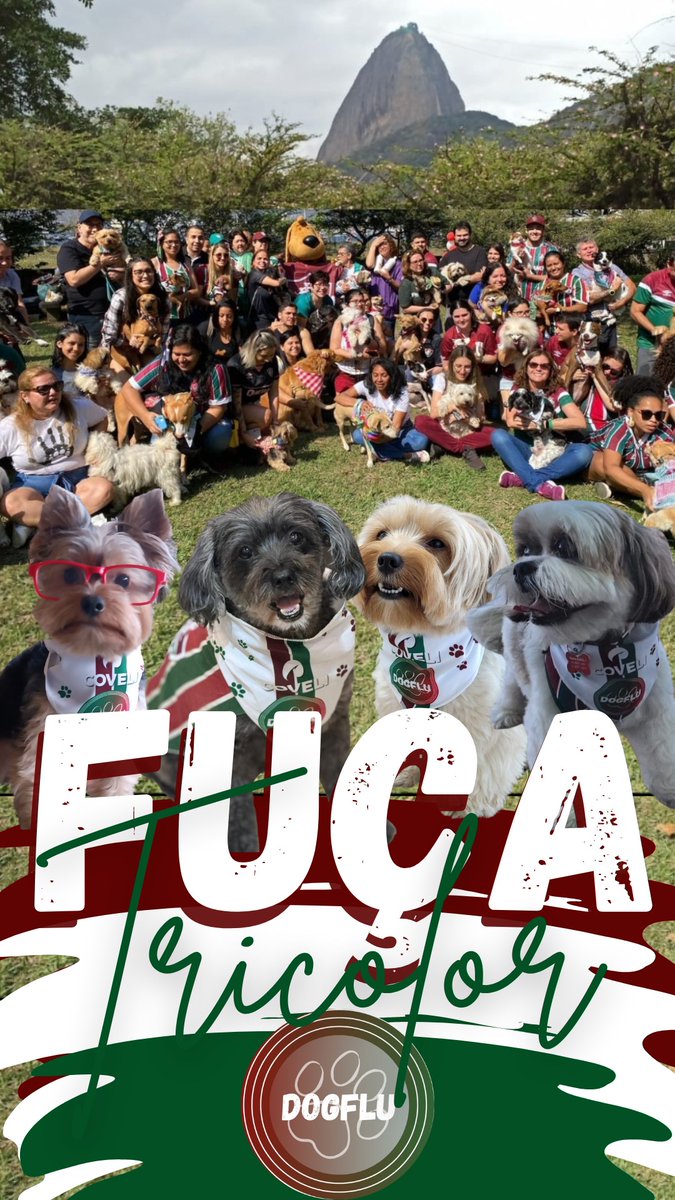 _dogflu_'s tweet photo. Tutuco, Pretinha, Freds e toda torcida Dogflu ligada na Sulamericana 
#sulamericananoparamount https://t.co/sA0JOgu8gI