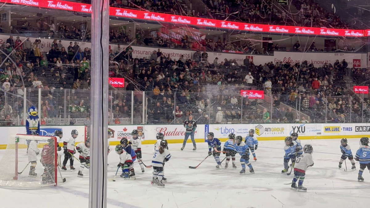 WillHeeman's tweet photo. @CoultersRx @LondonKnights cheering on our boys in Section 117, Row G, Seats 1-4!

First ever game for my daughter, and we met Scorezy! 😁

#goknightsgo #snapshotgiveaway https://t.co/uclzwUY3Dm