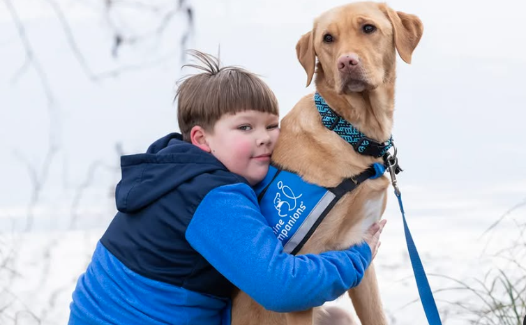 "Kids with autism supported by service dogs, as research and families note 'incredible changes'" #aakcares #allaboutkids #autism #autismawareness #autismacceptance tinyurl.com/yn4j6zkt
