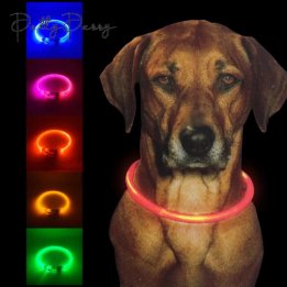 KingmingPet's tweet photo. Light up your dog's walk with Kingming’s LED Dog Collar! �� Three adjustable brightness modes for ultimate safety & visibility at night. USB rechargeable, eco-friendly, & practical! ⚡�� Visit: https://t.co/6d9t8R6FI9 #PetSafety #LEDCollar #DogGear #USBCharging #NightWalk https://t.co/g11z8rSFBR