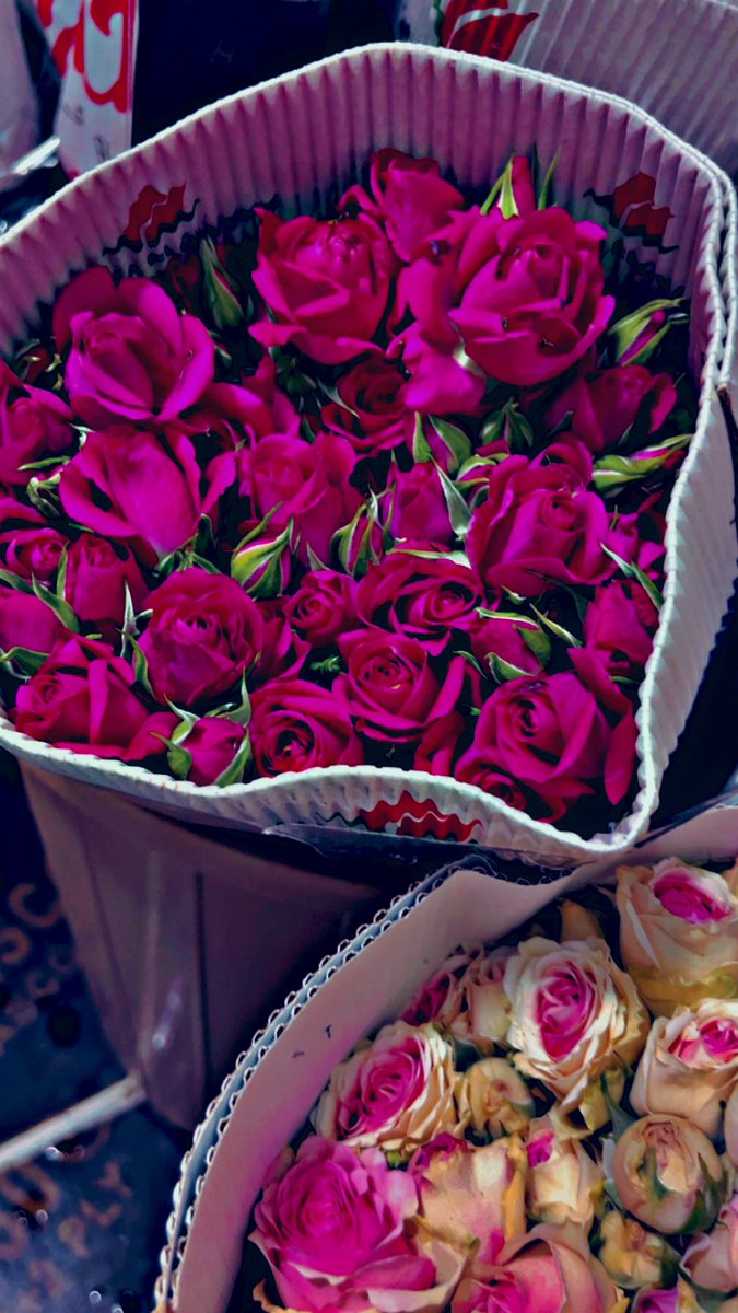 l_azaar's tweet photo. https://t.co/07jSIwf1Jx