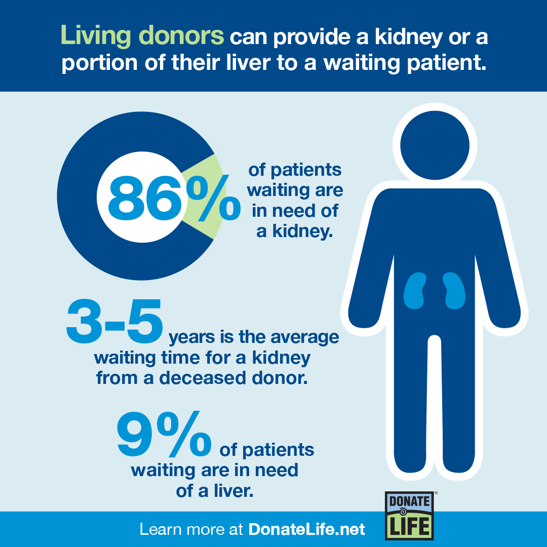 Mayo Clinic Transplantation Surgery (@mctransplntsurg) on Twitter photo RT <a href="/MayoTransplant/">Mayo Clinic Transplant</a>: 86% of patients on the waiting list are waiting for a kidney. The average wait time for a kidney from a deceased donor is 3 to 5 years. A kidney from a living donor offers patients an alternative. #DonateLife bit.ly/3G5oWnr RT <a href="/MayoTransplant/">Mayo Clinic Transplant</a>: 86% of patients on the waiting list are waiting for a kidney. The average wait time for a kidney from a deceased donor is 3 to 5 years. A kidney from a living donor offers patients an alternative. #DonateLife bit.ly/3G5oWnr