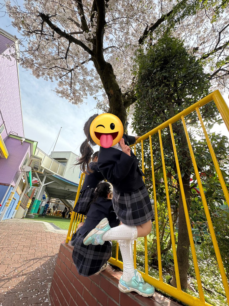 anico_room's tweet photo. おはニコ🌸
昨日はたくさんお立ち寄り
ありがとうございます😭

ダイナミックパッケージ！
という豪華旅行✈️お立ち寄り頂いた
素敵なお方、、、
👀目玉飛び出ました！
どんなところに行くのかな✨
絶対素敵なとこ😆♡
楽しみですね〜❣️

今年の🌸は長くて嬉しいけど
そろそろ終わりだね🥹♡ https://t.co/NHgfWKNs9x