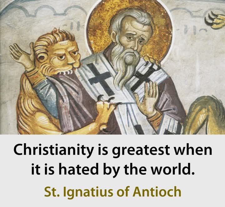Paisios33AD's tweet photo. .
.
.

#orthodox #orthodoxy #orthodoxchurch #orthodoxchristian #orthodoxchristianity #orthodoxfaith #orthodoxeaster #antiochianorthodox #russianorthodox #greekorthodox #serbianorthodox #orthodoxmonastery #easternorthodox #liveorthodoxy #orthodoxicon #orthodoxchristmas #orthodoxquotes #orthodoxbrothers #orthodoxicons #orthodoxlife #orthodoxart #orthodoxsaints #orthodoxwedding #russianorthodoxchurch #orthodoxchristians #christianorthodox #orthodoxcross #orthodoxyouth #christian #christ