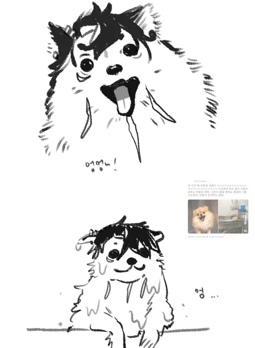 뭉뭉이 