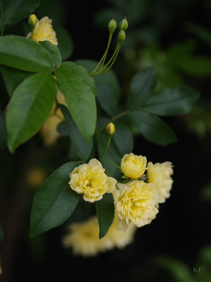 junglelandland's tweet image. 