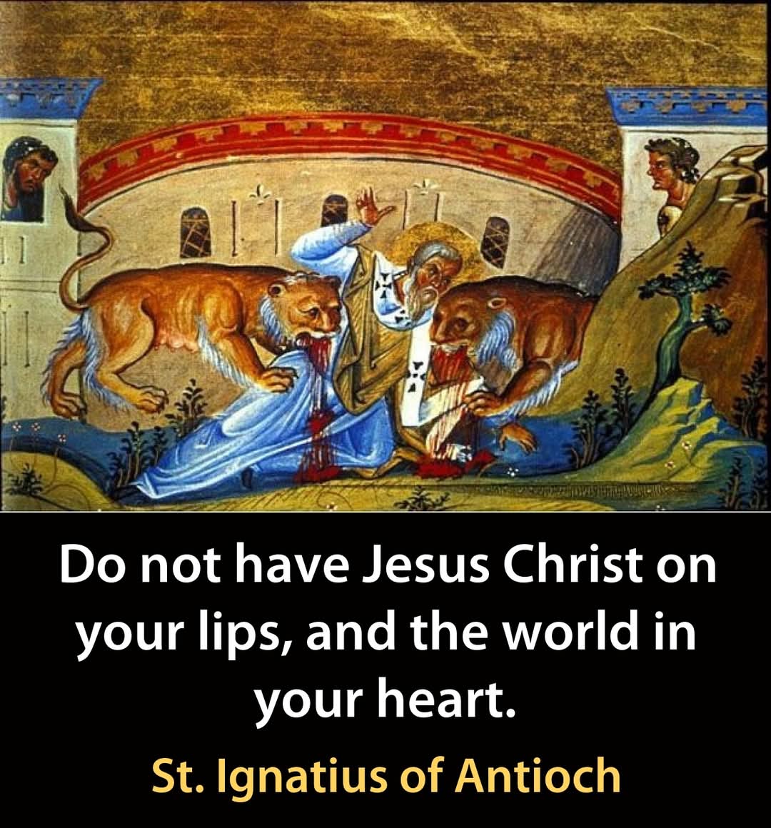 Paisios33AD's tweet photo. .
.
.

#orthodox #orthodoxy #orthodoxchurch #orthodoxchristian #orthodoxchristianity #orthodoxfaith #orthodoxeaster #antiochianorthodox #russianorthodox #greekorthodox #serbianorthodox #orthodoxmonastery #easternorthodox #liveorthodoxy #orthodoxicon #orthodoxchristmas #orthodoxquotes #orthodoxbrothers #orthodoxicons #orthodoxlife #orthodoxart #orthodoxsaints #orthodoxwedding #russianorthodoxchurch #orthodoxchristians #christianorthodox #orthodoxcross #orthodoxyouth #christian #christ